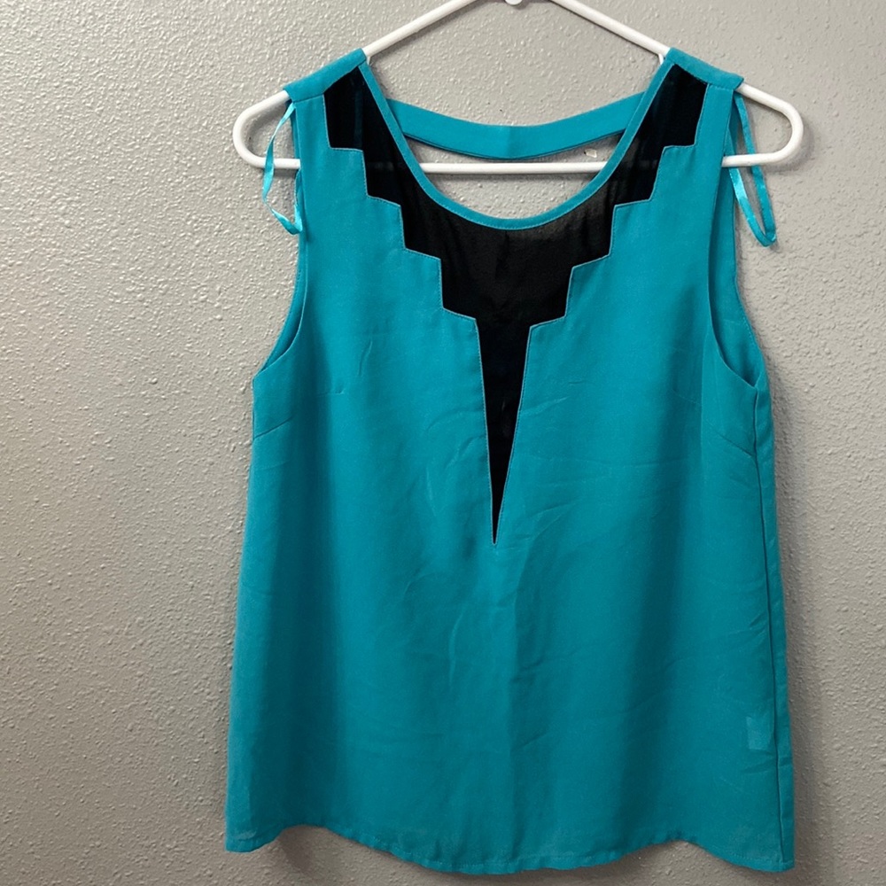 Ally mint green sleeveless sheer